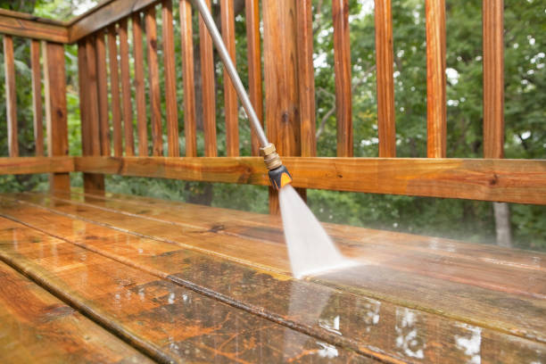 Best Soft Washing  in Laurel Hill, VA